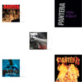 Great Southern Trendkill (Marbled Orange LP Vinyl) (I) & Far Beyond Driven (Marbled Yellow LP Vinyl) & Vulgar Display Of Power (Marbled Black/Grey LP Vinyl) (I) & History Of Hostility & Reinventing The Steel