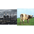 Animals (2018 Remix) (180G/LP/CD/Blu-Ray/DVD) & Atom Heart Mother (180G/Gatefold/2016 Version)