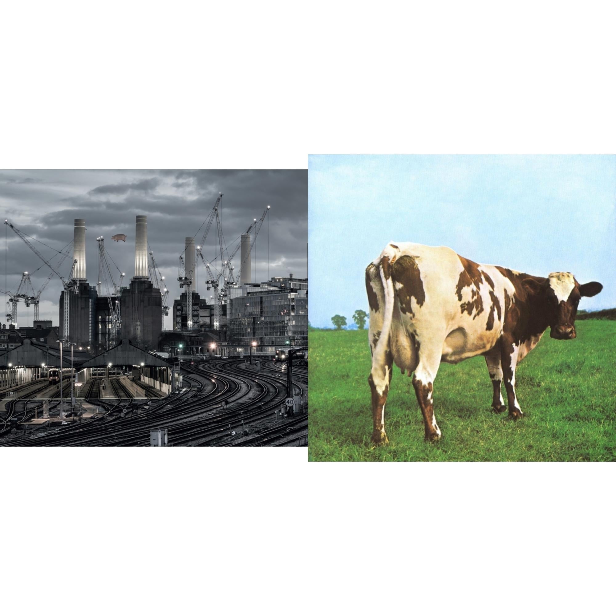 Animals (2018 Remix) (180G/LP/CD/Blu-Ray/DVD) & Atom Heart Mother (180G/Gatefold/2016 Version)