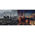Animals (2018 Remix) (180G) & Animals (180G) (2016 Version)