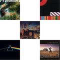 Saucerful Of Secrets (Mono/180G) & Dark Side Of The Moon (50Th Anniversary Remaster) & Animals (180G) (2016 Version) & Final Cut (180G/Gatefold) (2016 Version) & Collection Of Great Dance Songs (180G)