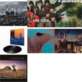 Animals (2018 Remix) (180G) & Piper At The Gates Of Dawn (Mono Version) & Saucerful Of Secrets (180G) & More (180G) & Meddle (180G/Gatefold/2016 Version) & Animals (180G) (2016 Version) & Collection Of Great Dance Songs (180G)