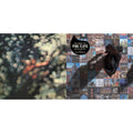 Obscured By Clouds (180G/2016 Version) & Best Of Pink Floyd: A Foot In Door (2LP/180G Vinyl)
