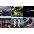 Animals (2018 Remix) (180G) & Saucerful Of Secrets (Mono/180G) & Dark Side Of The Moon (50Th Anniversary Remaster) & Animals (180G) (2016 Version) & Division Bell (180G/2016 Version/Gatefold) & Best Of Pink Floyd: A Foot In Door (2LP/180G Vinyl)