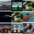 Pink Floyd - Animals (2018 Remix) (180G) & Live At Knebworth 1990 (2LP/180G/45 RPM) & Saucerful Of Secrets (Mono/180G) & Dark Side Of The Moon (50Th Anniversary Remaster) & Saucerful Of Secrets (180G) & Meddle (180G/Gatefold/2016 Version) & Animals