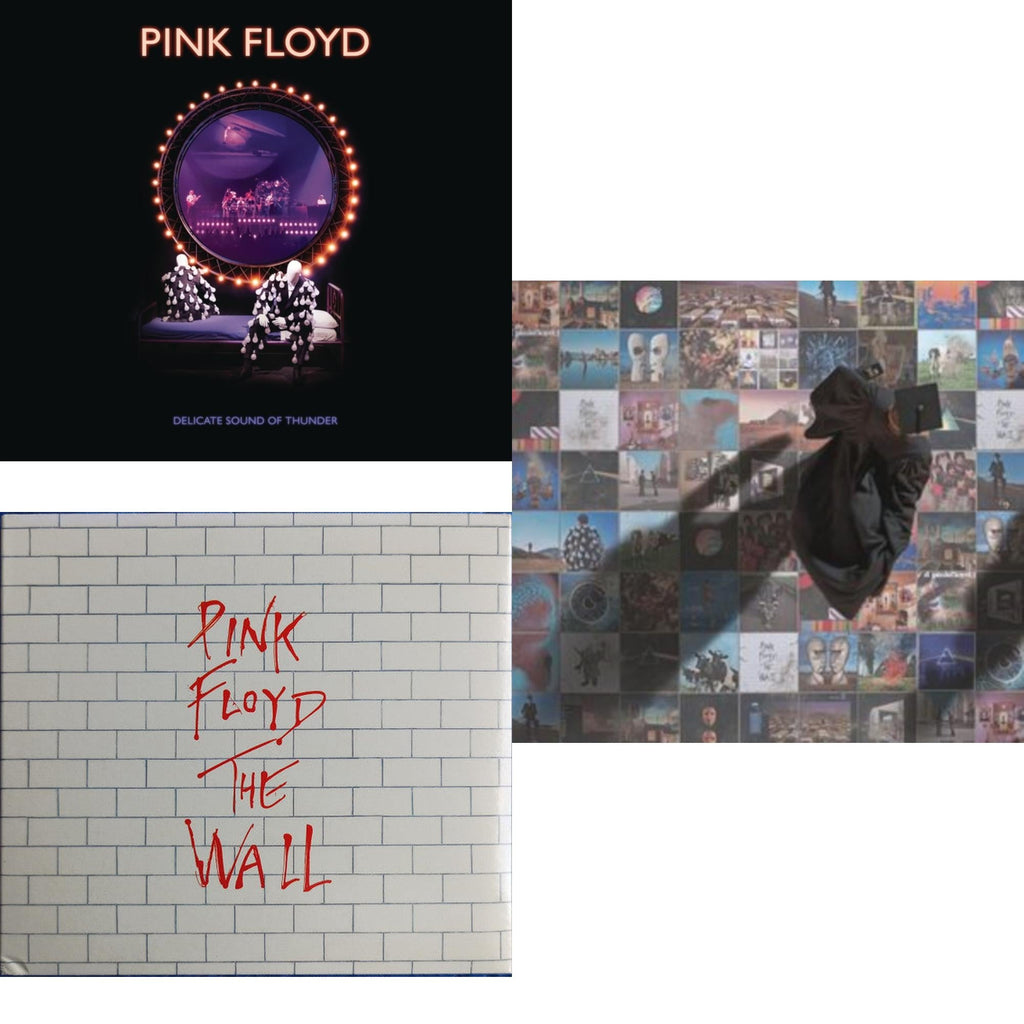 Delicate Sound Of Thunder (2CD) & Wall & Foot In The Door: Best Of Pink Floyd