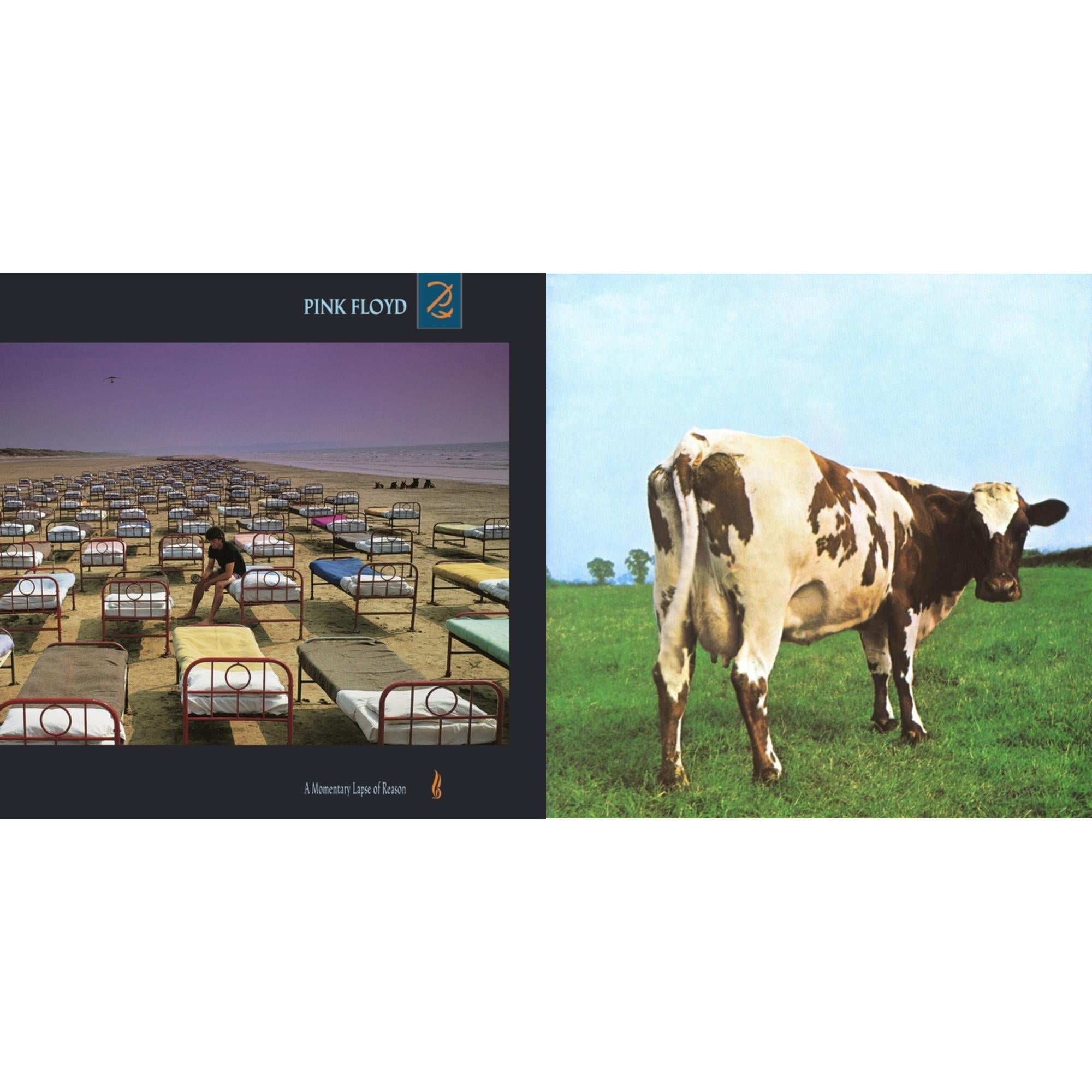 Atom Heart Mother (180G/Gatefold/2016 Version) & Momentary Lapse Of Reason (180G/Gatefold) (2016 Version)