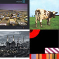 Animals (2018 Remix) (180G/LP/CD/Blu-Ray/DVD) & Atom Heart Mother (180G/Gatefold/2016 Version) & Final Cut (180G/Gatefold) (2016 Version) & Momentary Lapse Of Reason (180G/Gatefold) (2016 Version)