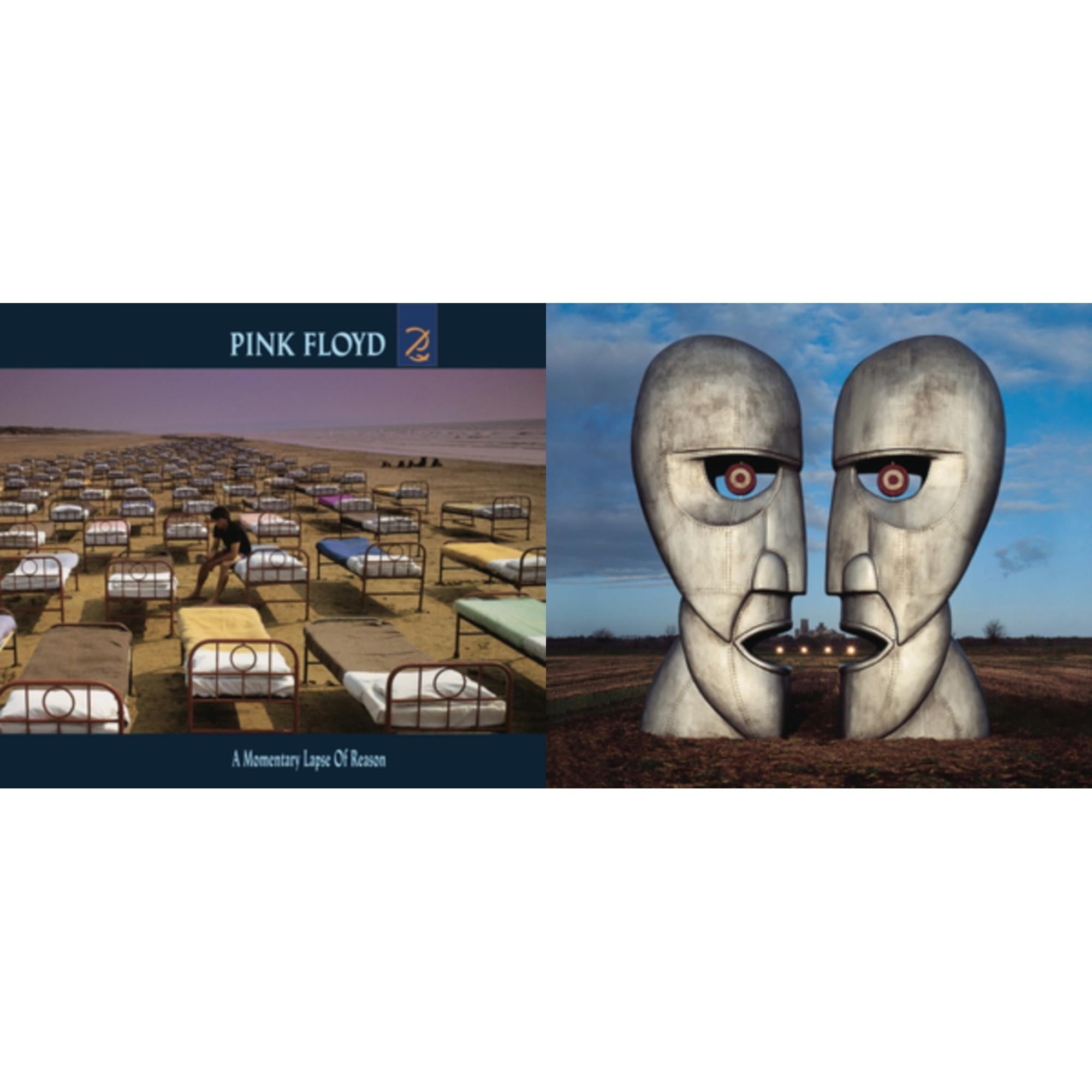 Momentary Lapse Of Reason & Division Bell