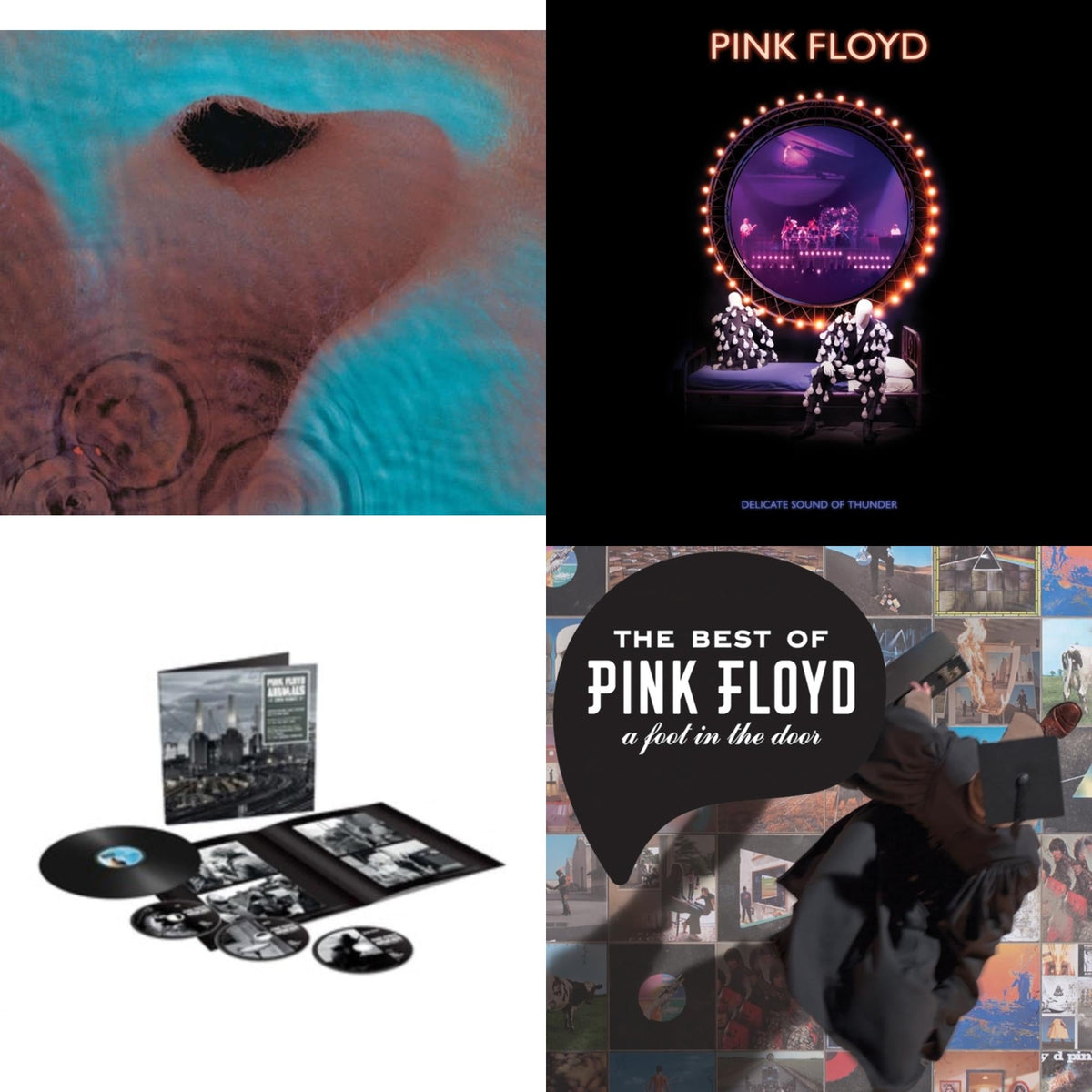 Animals (2018 Remix) (LP/CD/DVD/Blu-Ray/180G) & Delicate Sound Of Thunder (3LP) & Meddle (180G/Gatefold/2016 Version) & Best Of Pink Floyd: A Foot In Door (2LP/180G Vinyl)