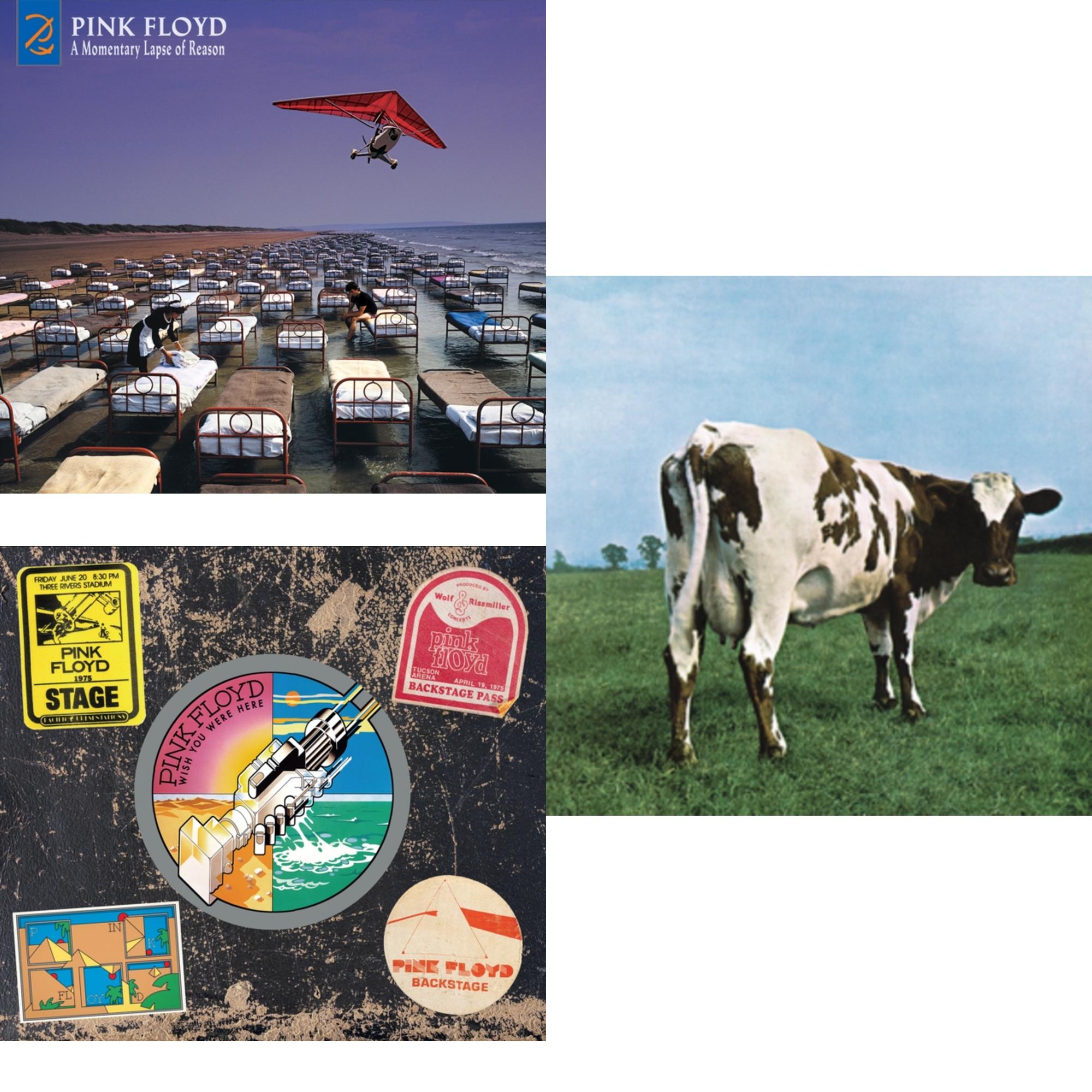 Momentary Lapse Of Reason (Remixed & Updated) & Wish You Were Here (50Th Anniversary/2CD) & Atom Heart Mother