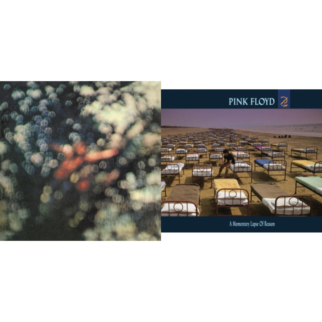 Obscured By Clouds & Momentary Lapse Of Reason