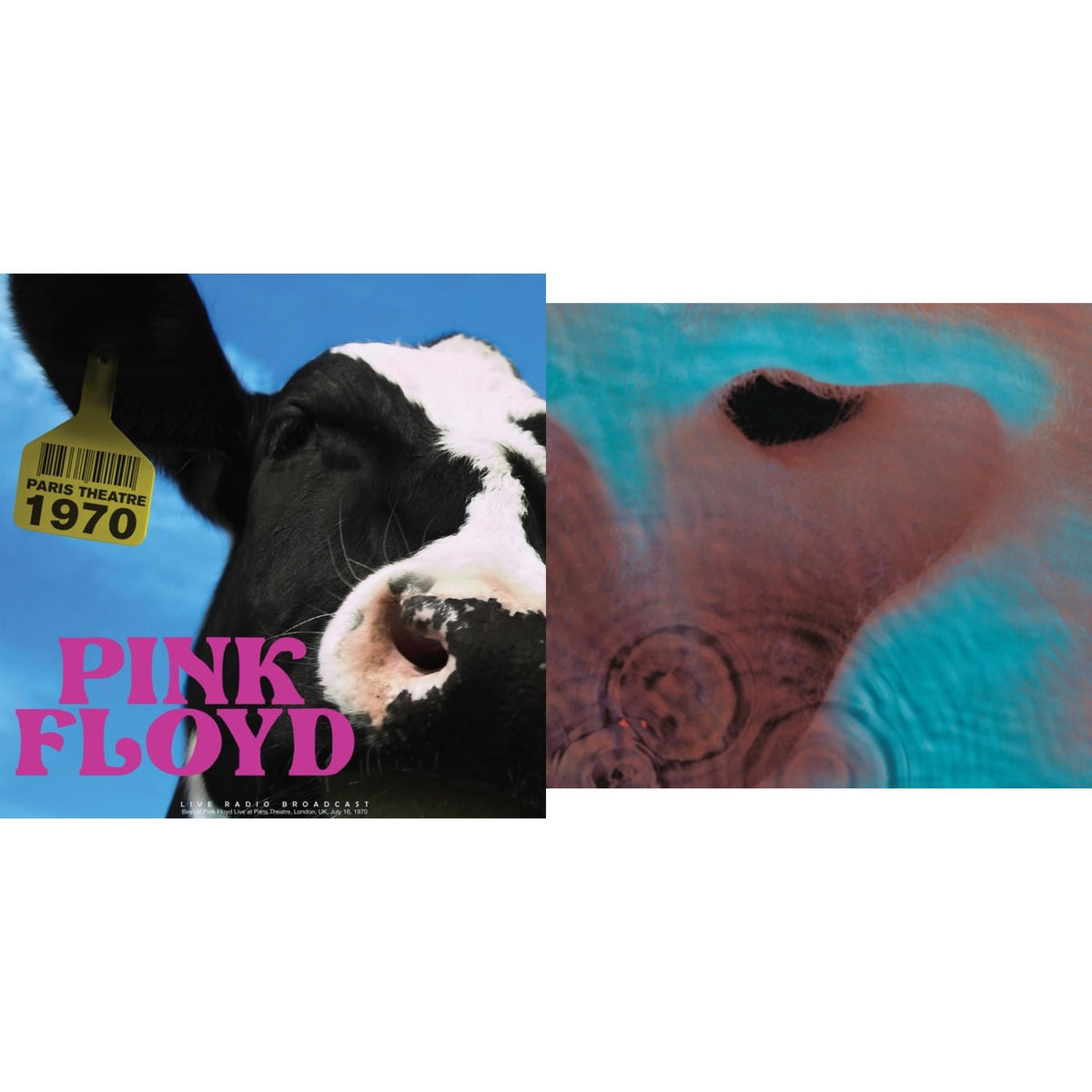 Paris Theatre 1970 & Meddle (180G/Gatefold/2016 Version)