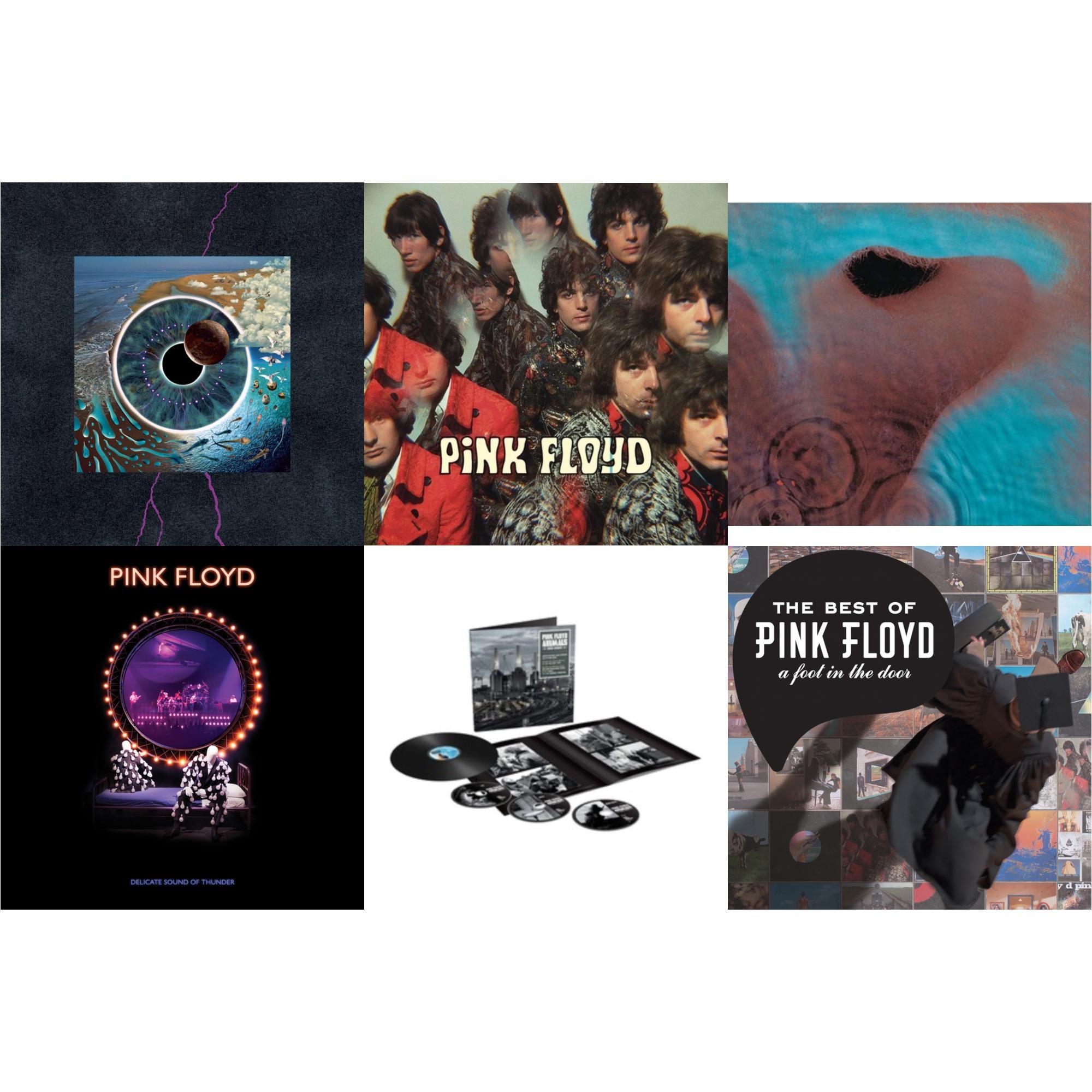 Animals (2018 Remix) (LP/CD/DVD/Blu-Ray/180G) & Delicate Sound Of Thunder (3LP) & Piper At The Gates Of Dawn (Mono Version) & Meddle (180G/Gatefold/2016 Version) & Pulse (180G/4LP/52 Pp Book) & Best Of Pink Floyd: A Foot In Door (2LP/180G Vinyl)