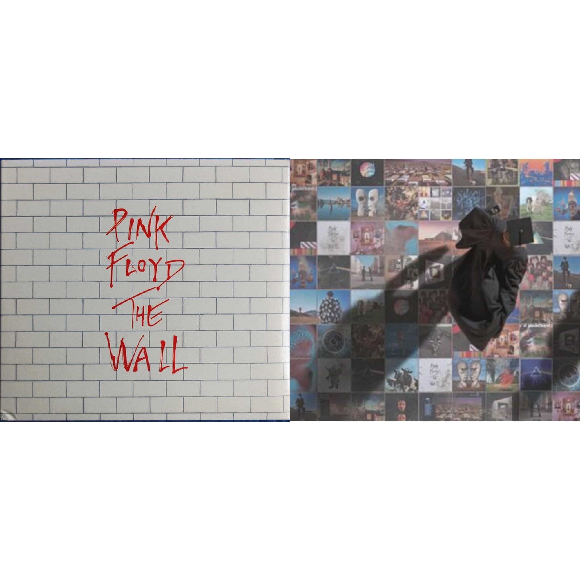Wall & Foot In The Door: Best Of Pink Floyd