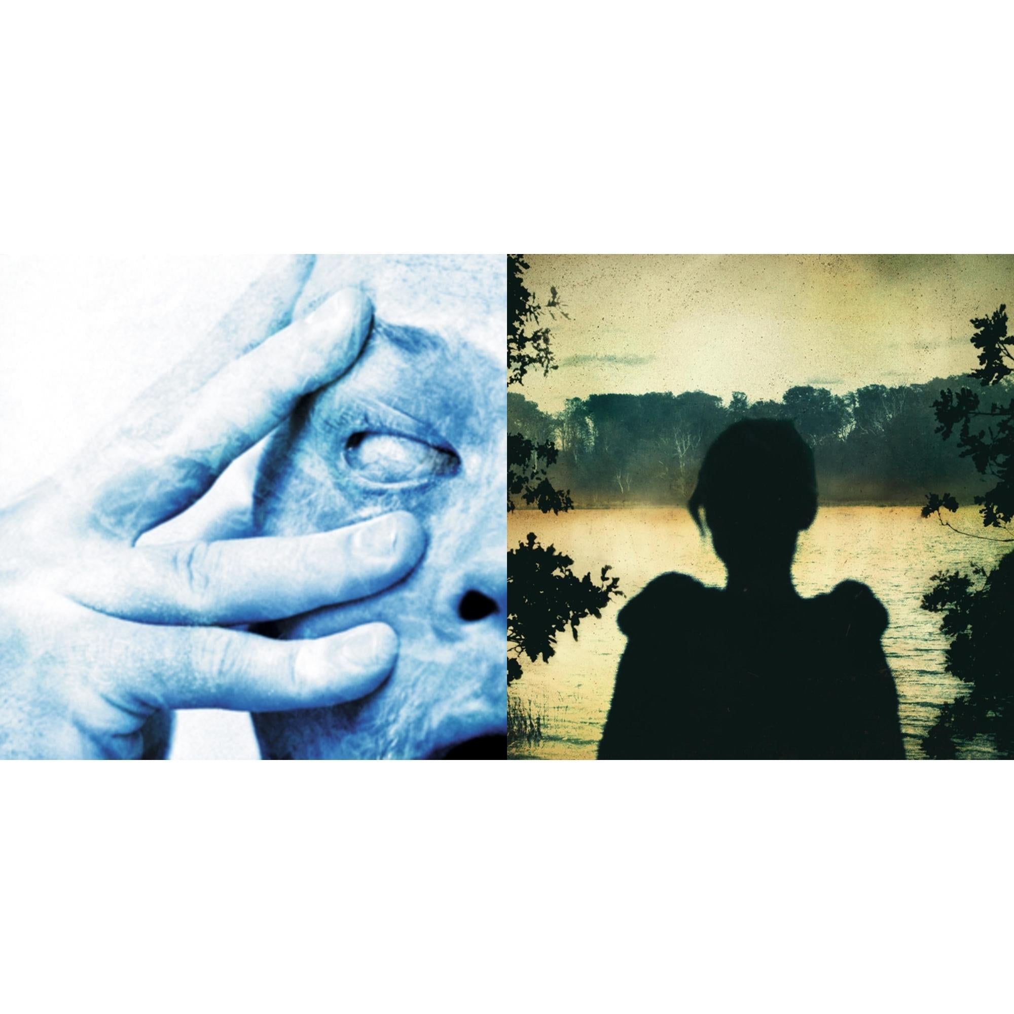 In Absentia & Deadwing