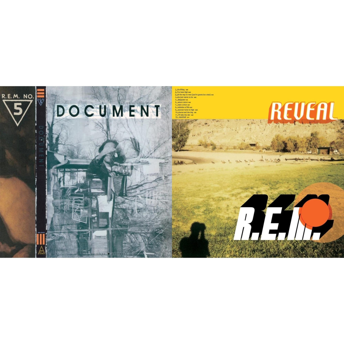 Document & Reveal