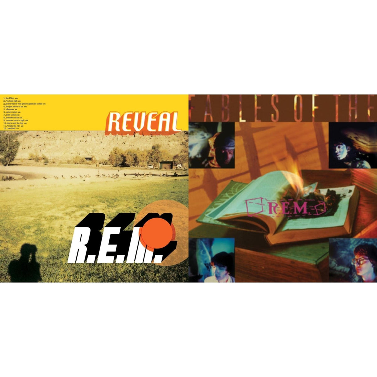 Fables Of The Reconstruction & Reveal