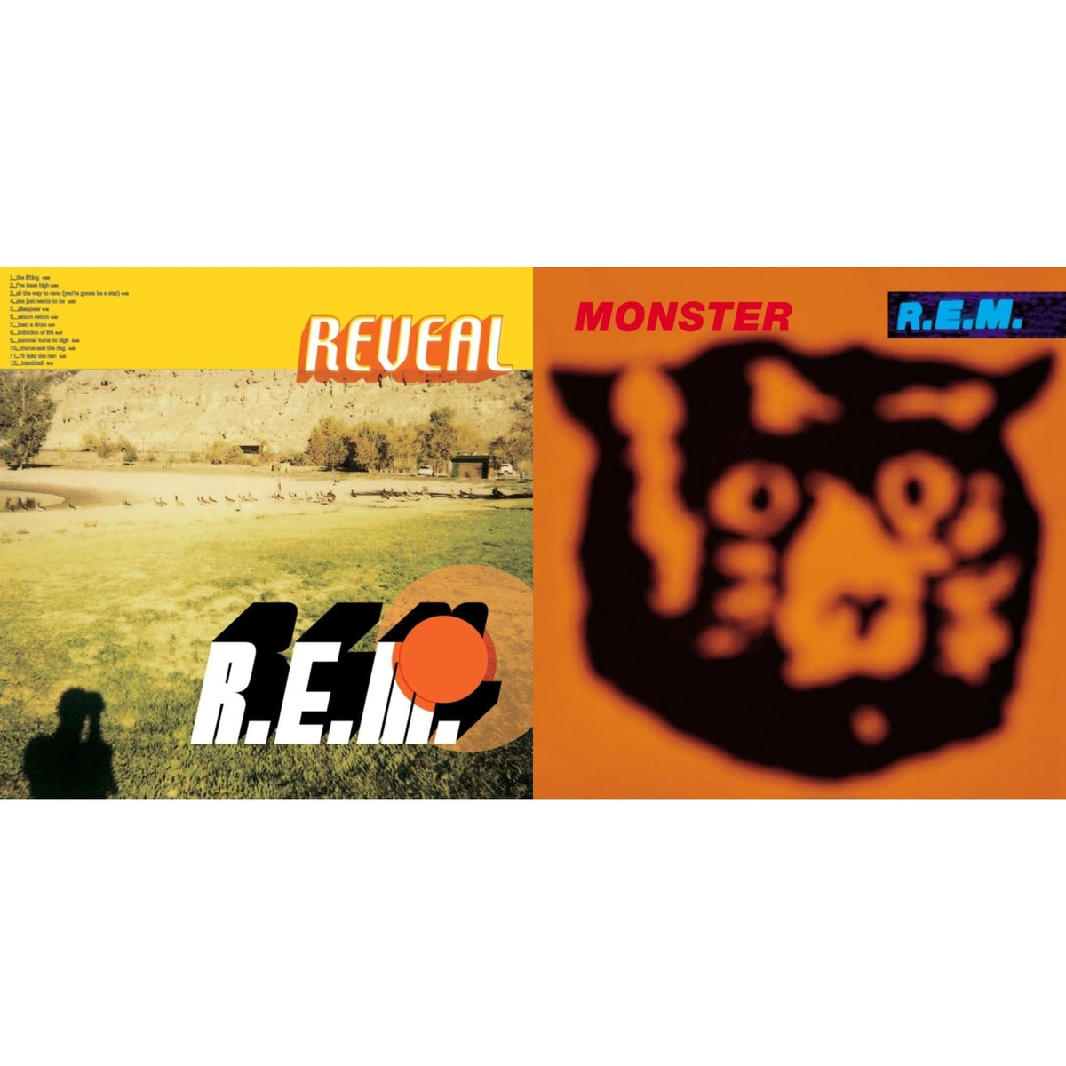 Monster & Reveal