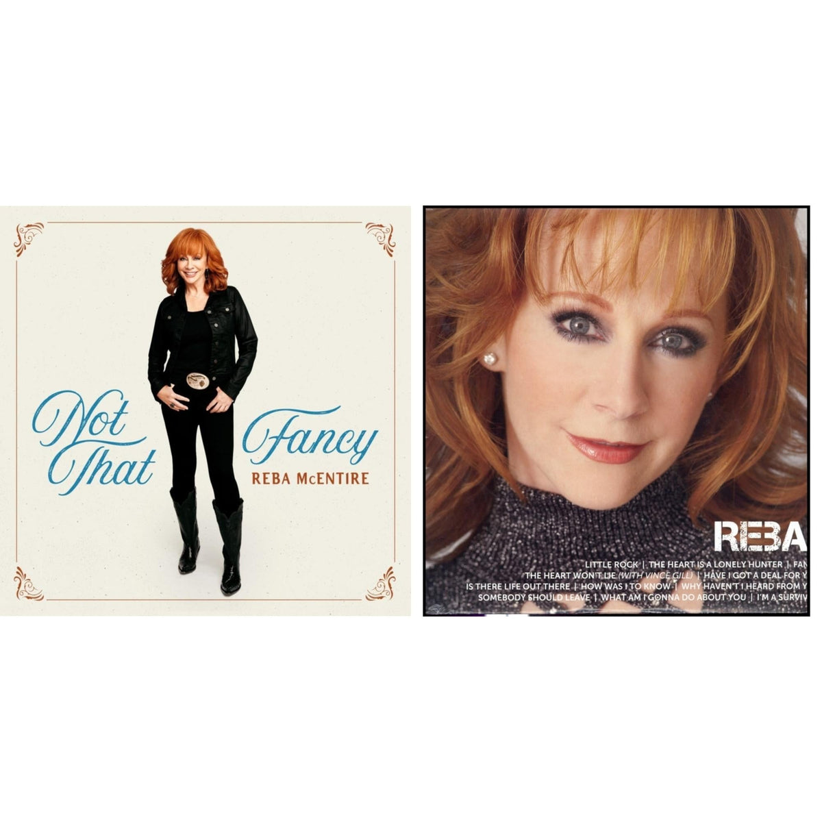 Not That Fancy (2LP) & Icon