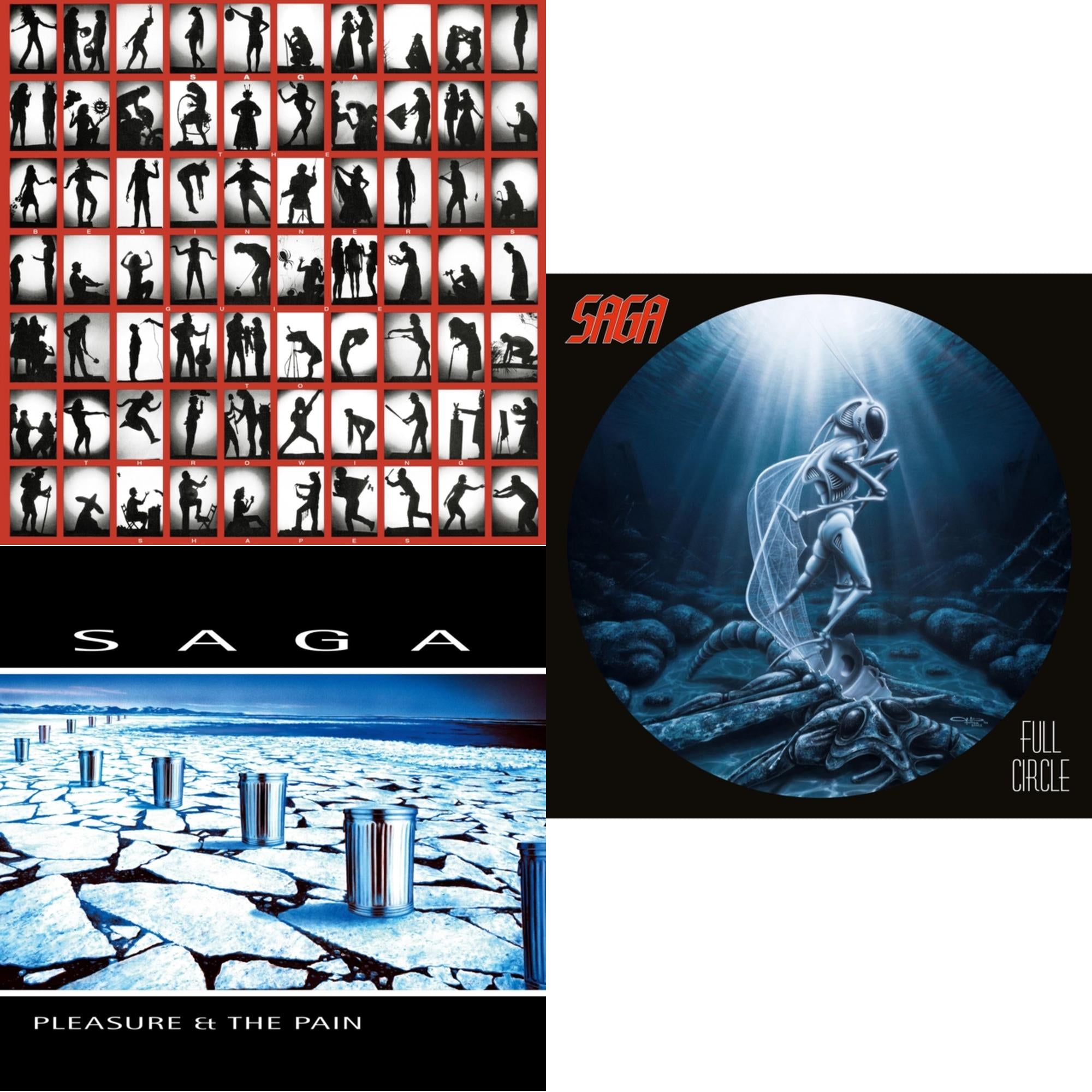 Beginner's Guide To Throwing Shapes (180G/Remastered) & Pleasure & The Pain & Full Circle (2021 Reissue)