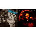 Screaming Life / Fopp & Superunknown