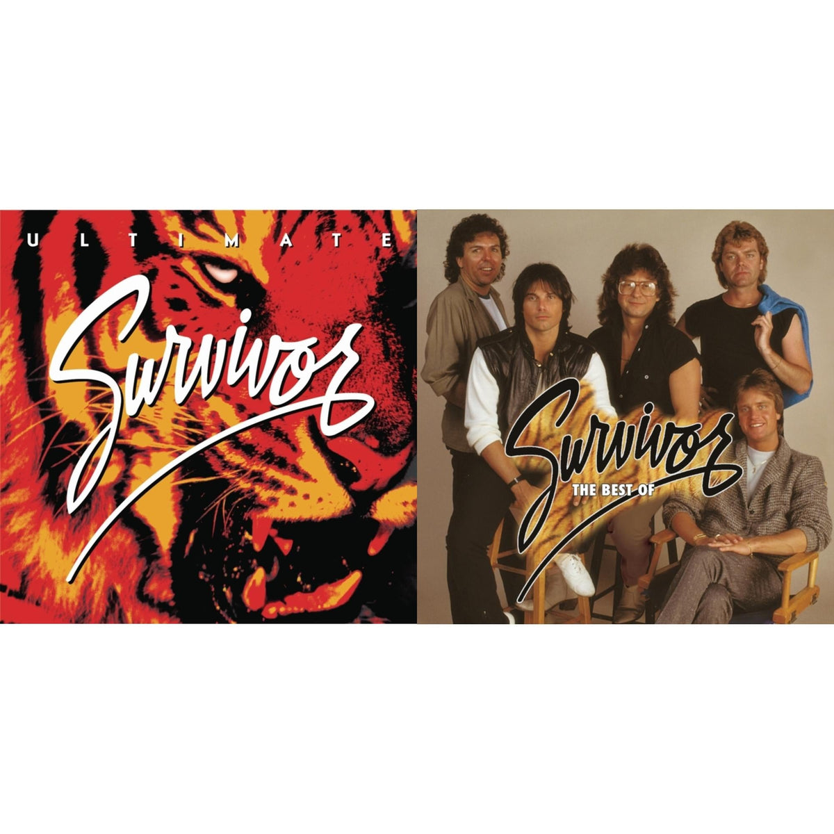 Best Of Survivor & Ultimate Survivor