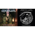 This is a 2 LP Vinyl SKU bundle.
1.This LP Vinyl is brand new.