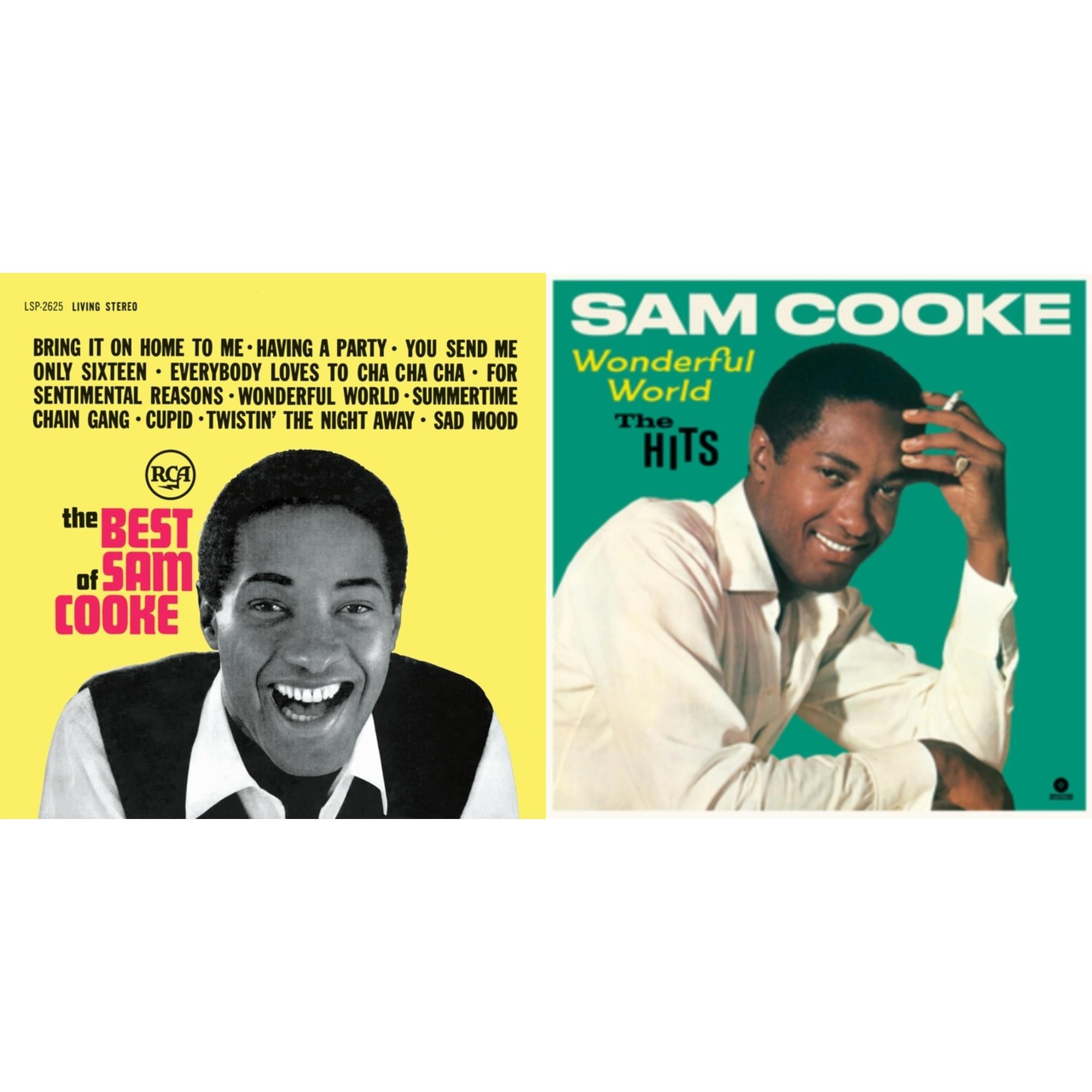 Best Of (140G/ Dl Insert) & Wonderfull World - The Hits