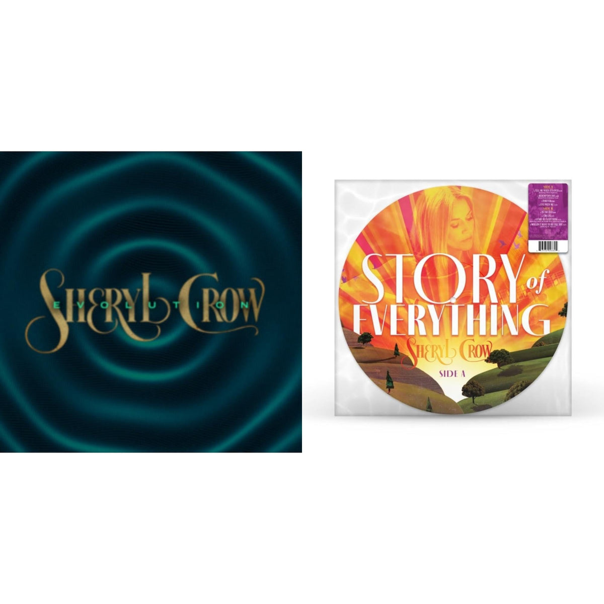 Story Of Everything (Picture Disc) & Evolution (Color LP Vinyl)