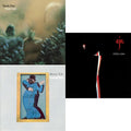 Katy Lied & Gaucho & Aja