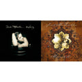 Surfacing & Mirrorball (180G)