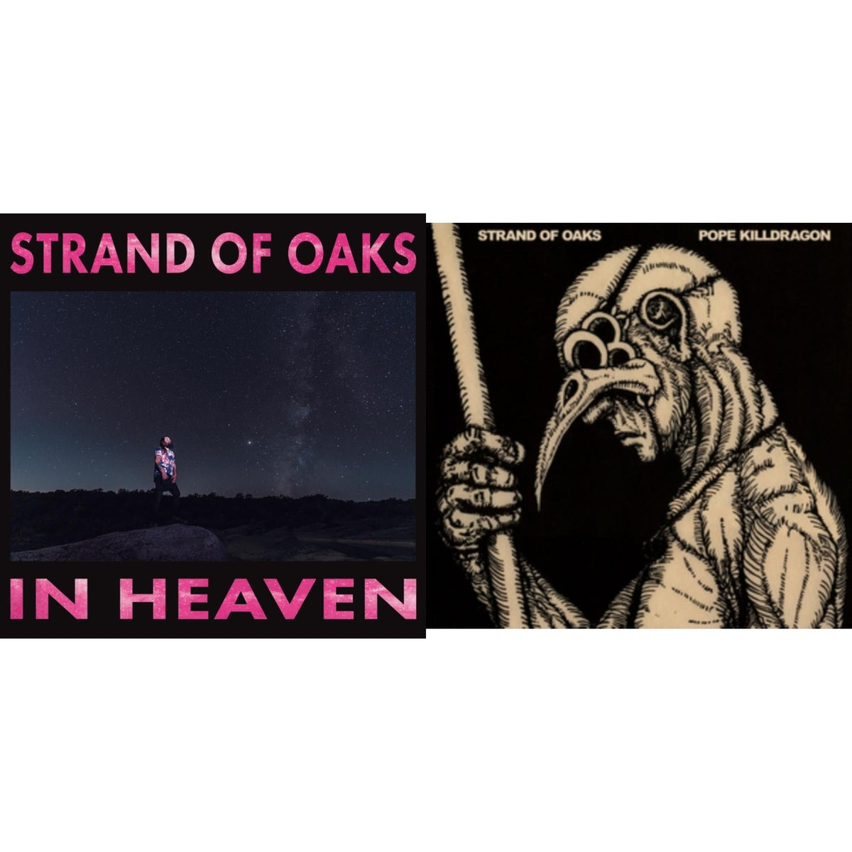 In Heaven & Pope Killdragon (Dragon Bone LP Vinyl)