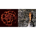 All Souls & Juju (LP)