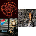 All Souls & Kaleidoscope & Juju (LP)