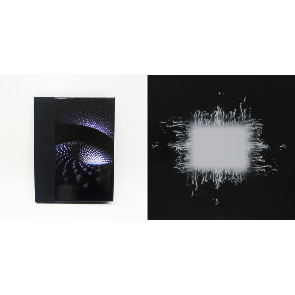 Fear Inoculum (Deluxe/Book/Graphic Cards/Dl Card) & Aenima