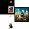 Songs From The Big Chair (Deluxe Edition/Transparent Red Vinyl/2LP) & Hurting & Songs For A Nervous Planet (2LP)
