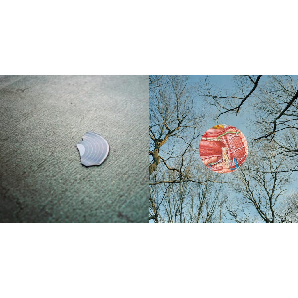 Book & Glean (Clear W/ Red Whisps LP Vinyl)