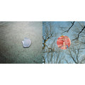 Book & Glean (Clear W/ Red Whisps LP Vinyl)