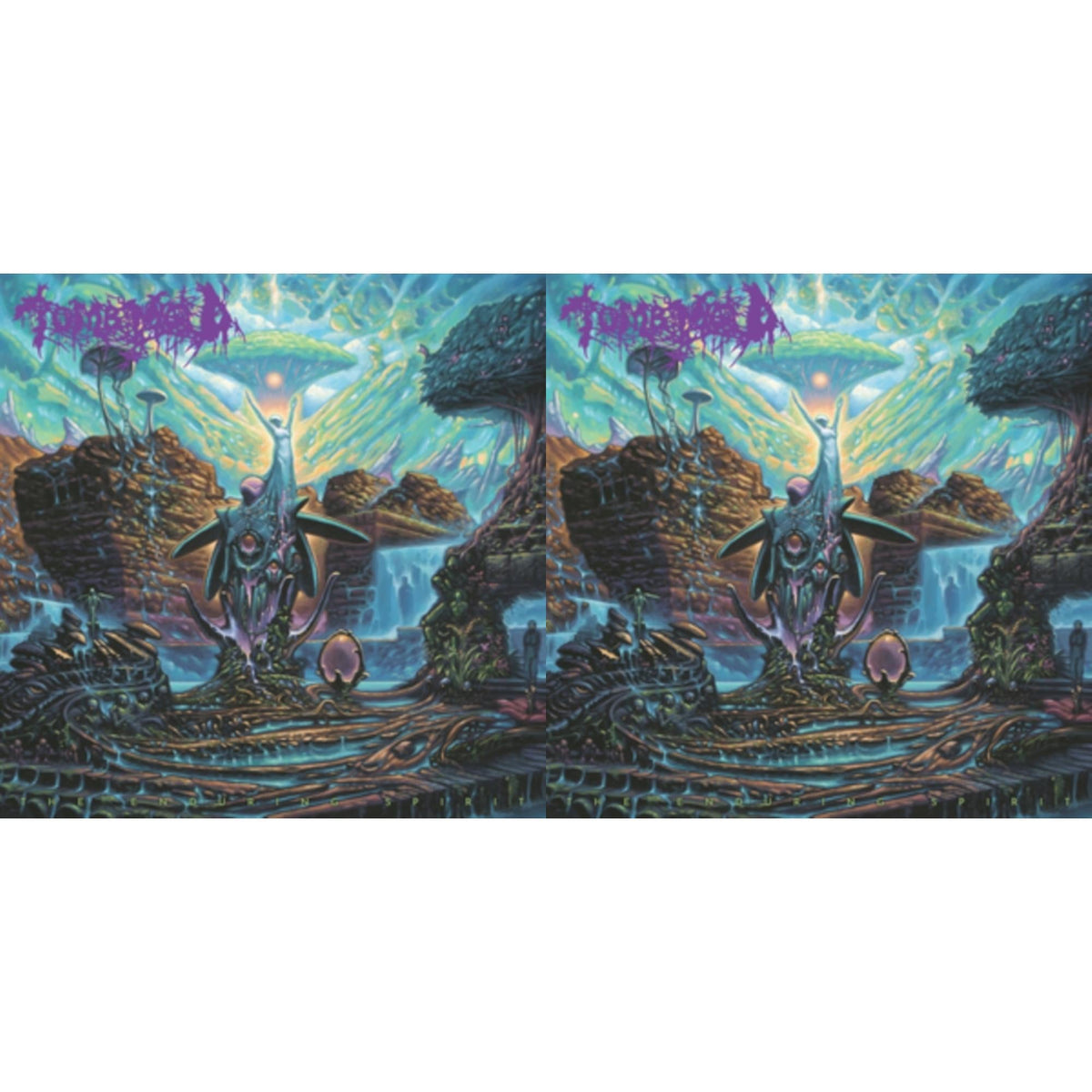 This is a 2 LP Vinyl SKU bundle.
1.This LP Vinyl is brand new.Format: LP VinylMusic Style: Death MetalThis item's title is: Enduring Spirit (Color LP Vinyl)Artist: Tomb MoldLabel: 20 BUCK SPINBarcode: 810079501205Release Date: 10/13/2023
2.This LP Vinyl is brand new.