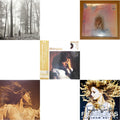 Folklore (X) (Beige Vinyl/2LP) & Fearless (Taylor's Version) (Gold Vinyl/3LP) & Midnights (X) (Mahogany Color LP Vinyl) & Lover & Fearless Platinum Edition