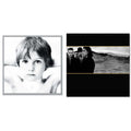 Boy & Joshua Tree