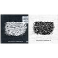 Summertime 06 (X) (Segment 1) & Summertime 06 (Exp) (Segment 2)
