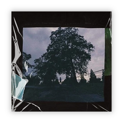2014 Forest Hills Drive (2LP) (X) & 4 Your Eyez Only & Kod
