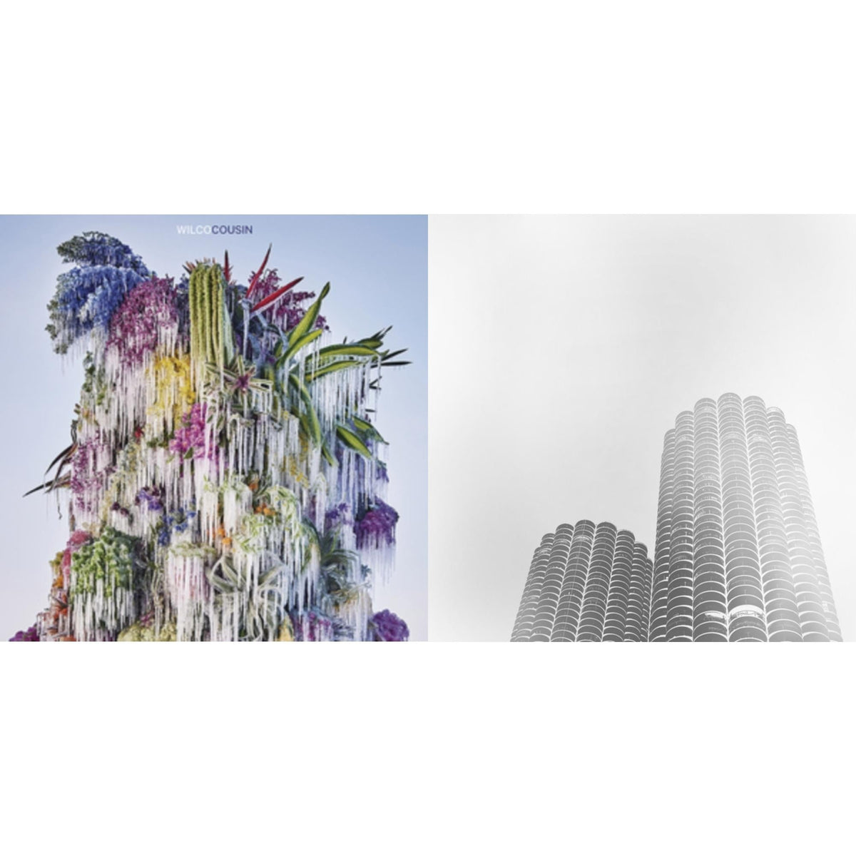 Cousin & Yankee Hotel Foxtrot (Super Deluxe/8CD)