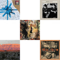 Pretty Paper & Border & Last Leaf On The Tree (Amber Fossil Vinyl/2LP) & Workin Man: Willie Sings Merle & Milk Cow Blues (2LP/180G)