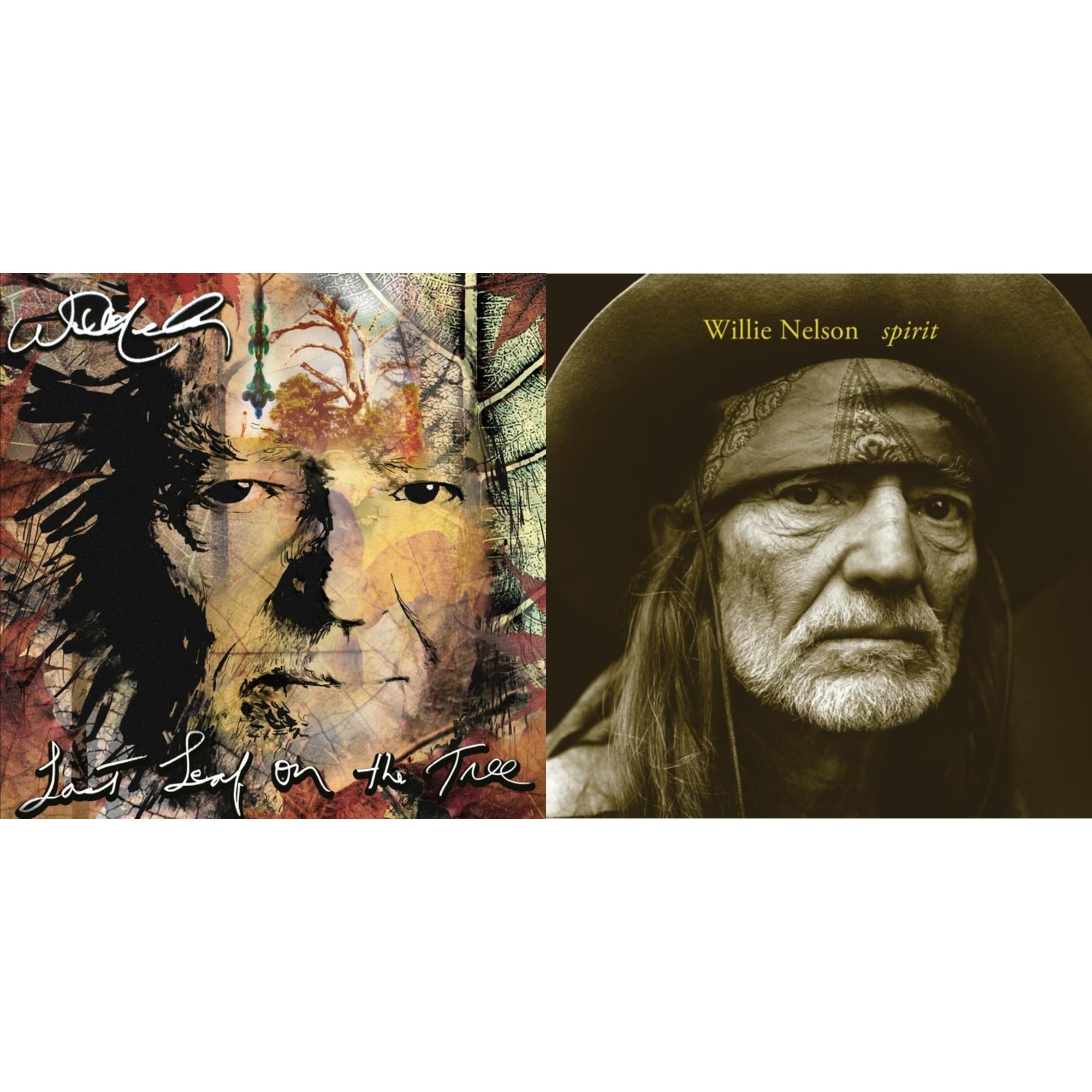 Last Leaf On The Tree (Amber Fossil Vinyl/2LP) & Spirit (180G)